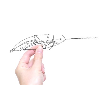Wire Whale