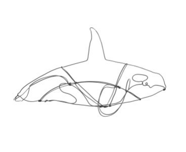 Orca (1)